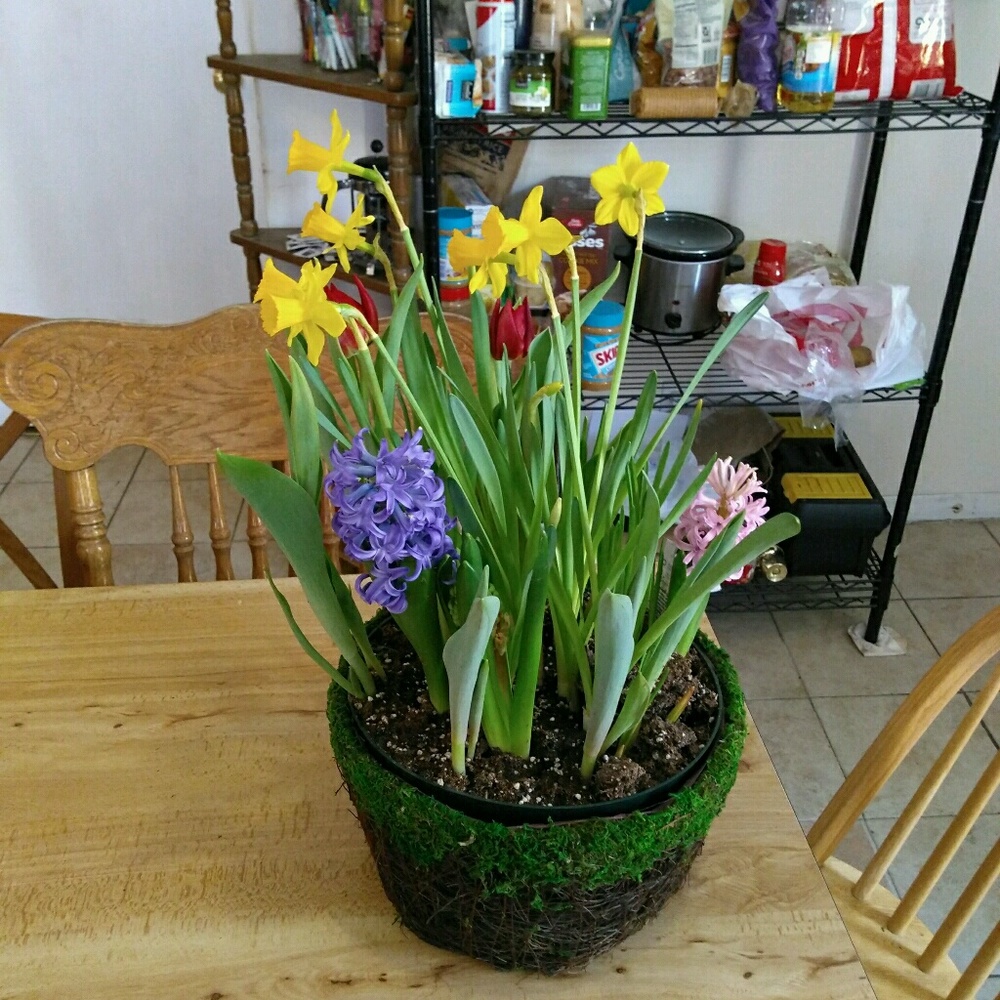 Meet your Posher, Annie